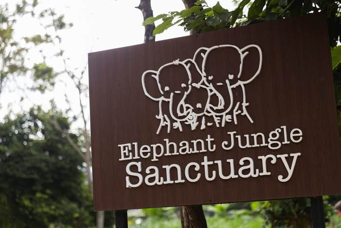 Azamara Cruises Elephant Sanctuary in Thailand © Jenna Lyn, Azamara Cruises3.jpg